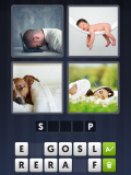 4 Pics 1 Word tangkapan layar 5