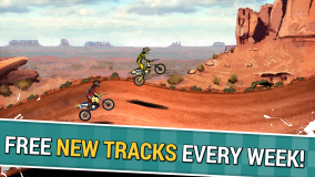 Mad Skills Motocross 2 captura de tela 5