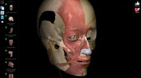 Anatomy Learning - 3D Atlas captura de tela 2