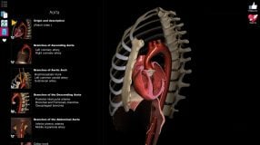 Anatomy Learning - 3D Atlas captura de pantalla 4