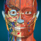 Anatomy Learning - 3D Atlas older version APK