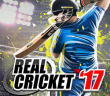 Real Cricket17 apk