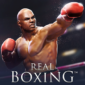 Real Boxing – Fighting Game APK