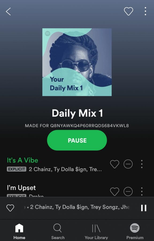 can i download music from spotify