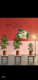 Weed Firm 2 Bud Farm Tycoon captura de tela 1