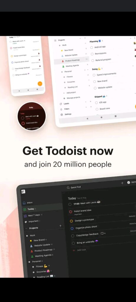 todoist plugin chrome