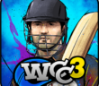 Campeonato Mundial de Cricket 3 APK